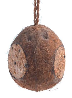 Whole Coconut With 3 Holes Original 350g