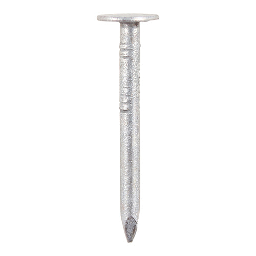 Clout Nail - Galvanised 30mm x 2.65 - 1Kg