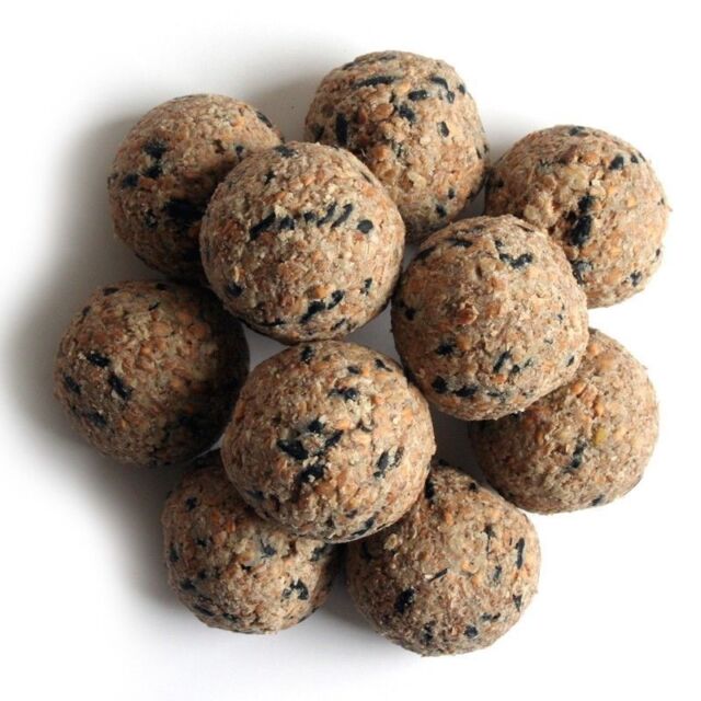 Wil Bird Fat Balls - 6 Pack